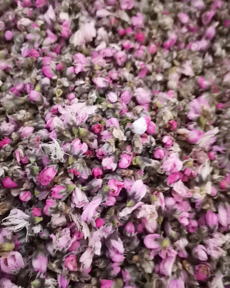 桃花茶诚信第一质量保证大量批发零售