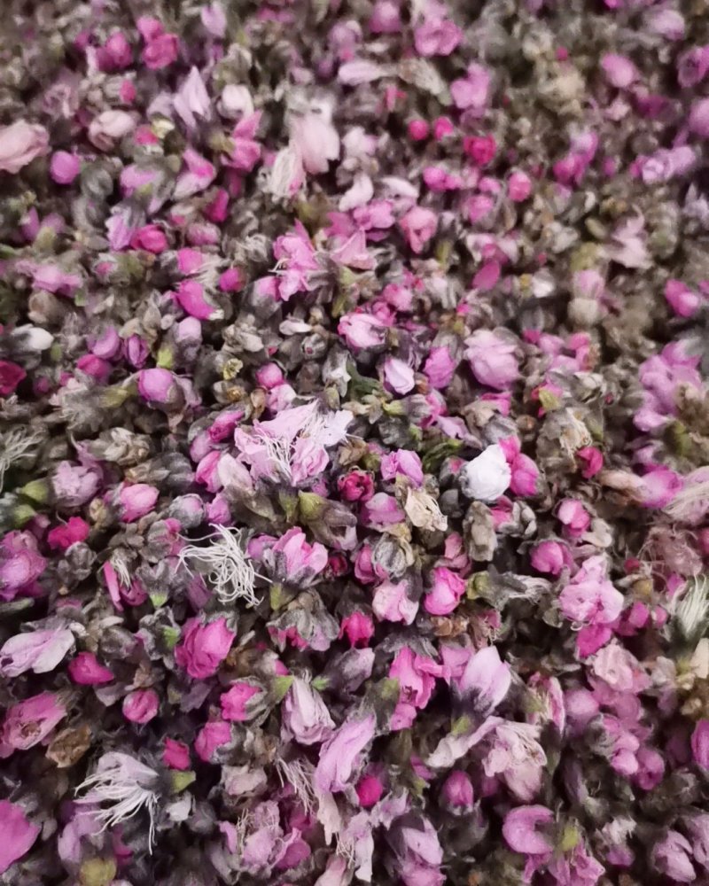 桃花茶诚信第一质量保证大量批发零售