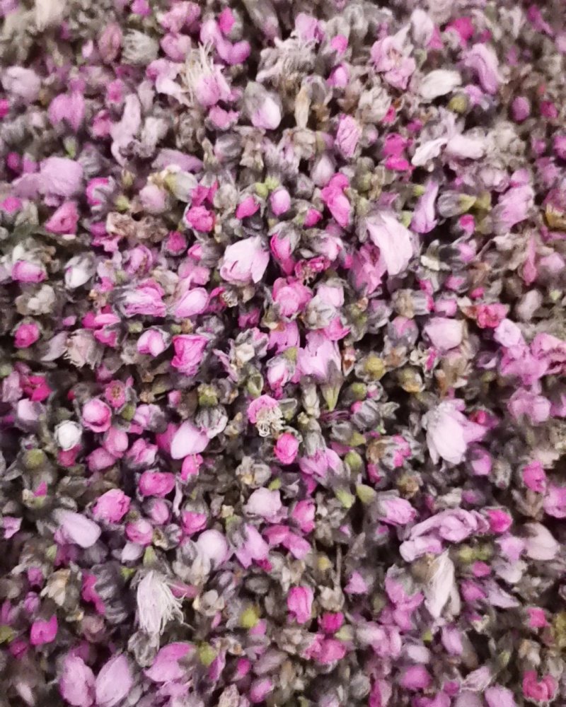 桃花茶诚信第一质量保证大量批发零售