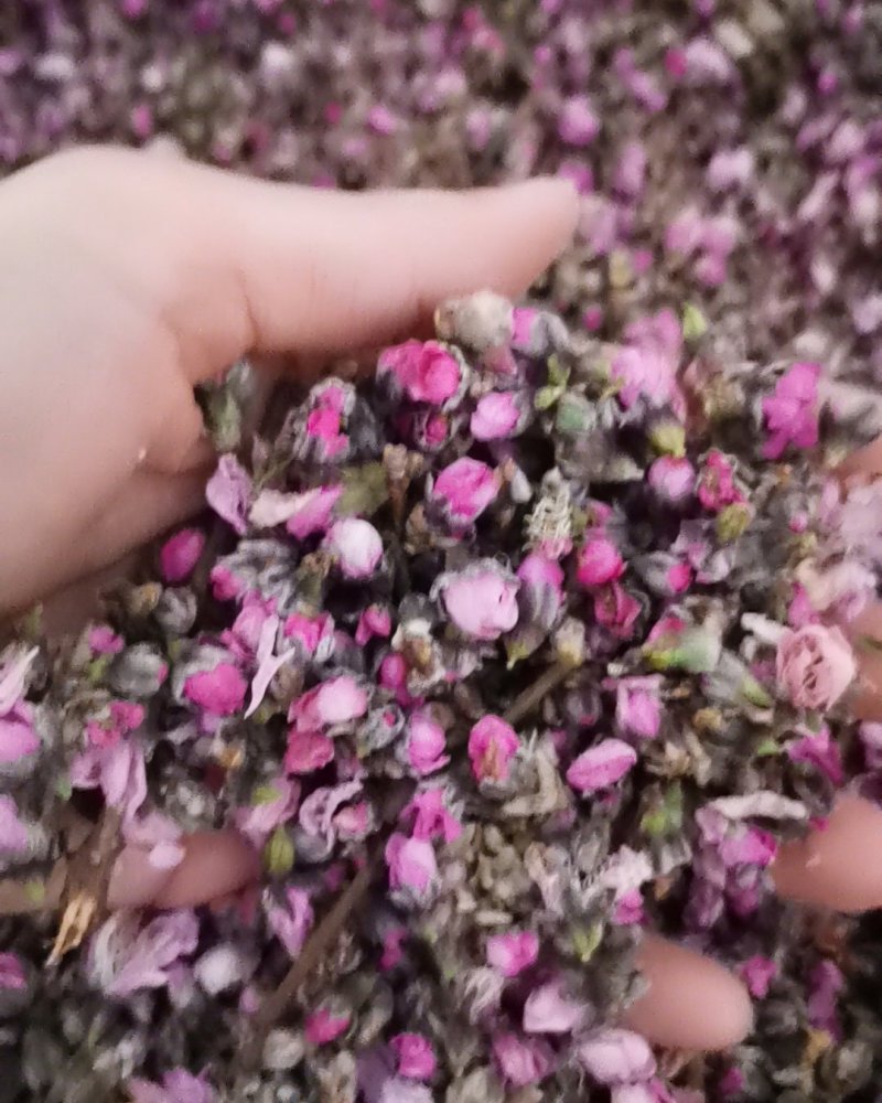桃花茶诚信第一质量保证大量批发零售