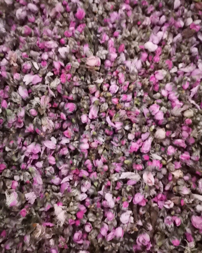 桃花茶诚信第一质量保证大量批发零售