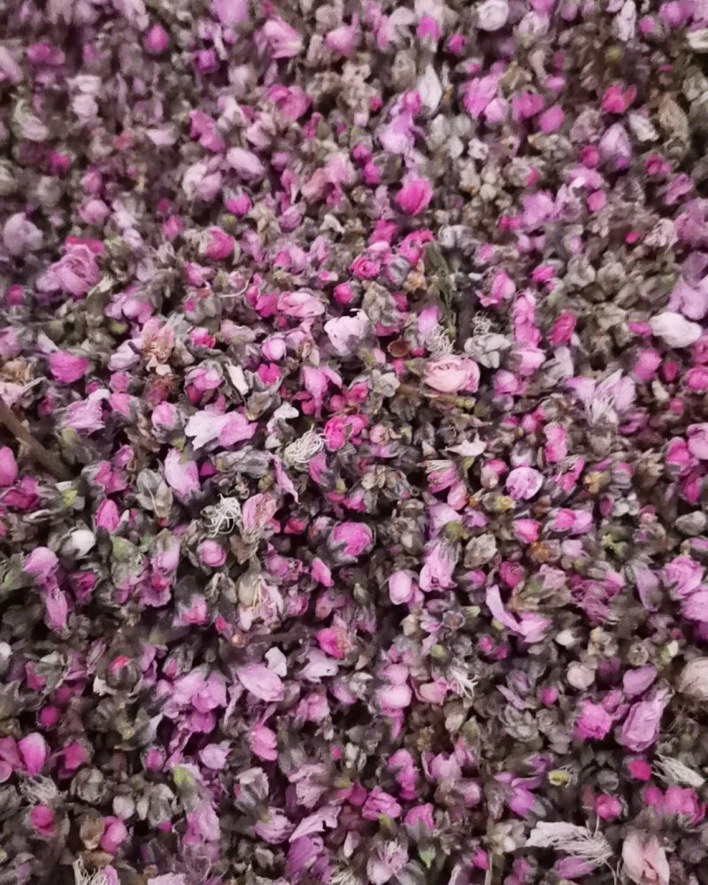 桃花茶诚信第一质量保证大量批发零售