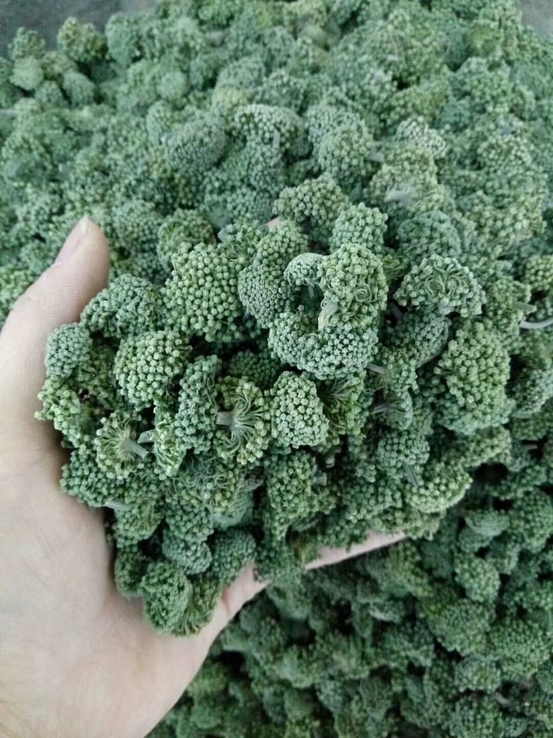 云南文山三七花，三年花，算是中等花，大小规格不一样。