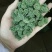 云南文山三七花，三年花，算是中等花，大小规格不一样。