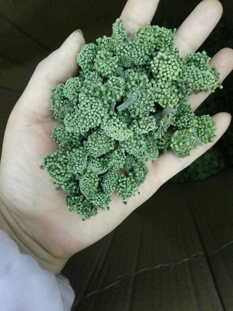 云南文山三七花，三年花，算是中等花，大小规格不一样。