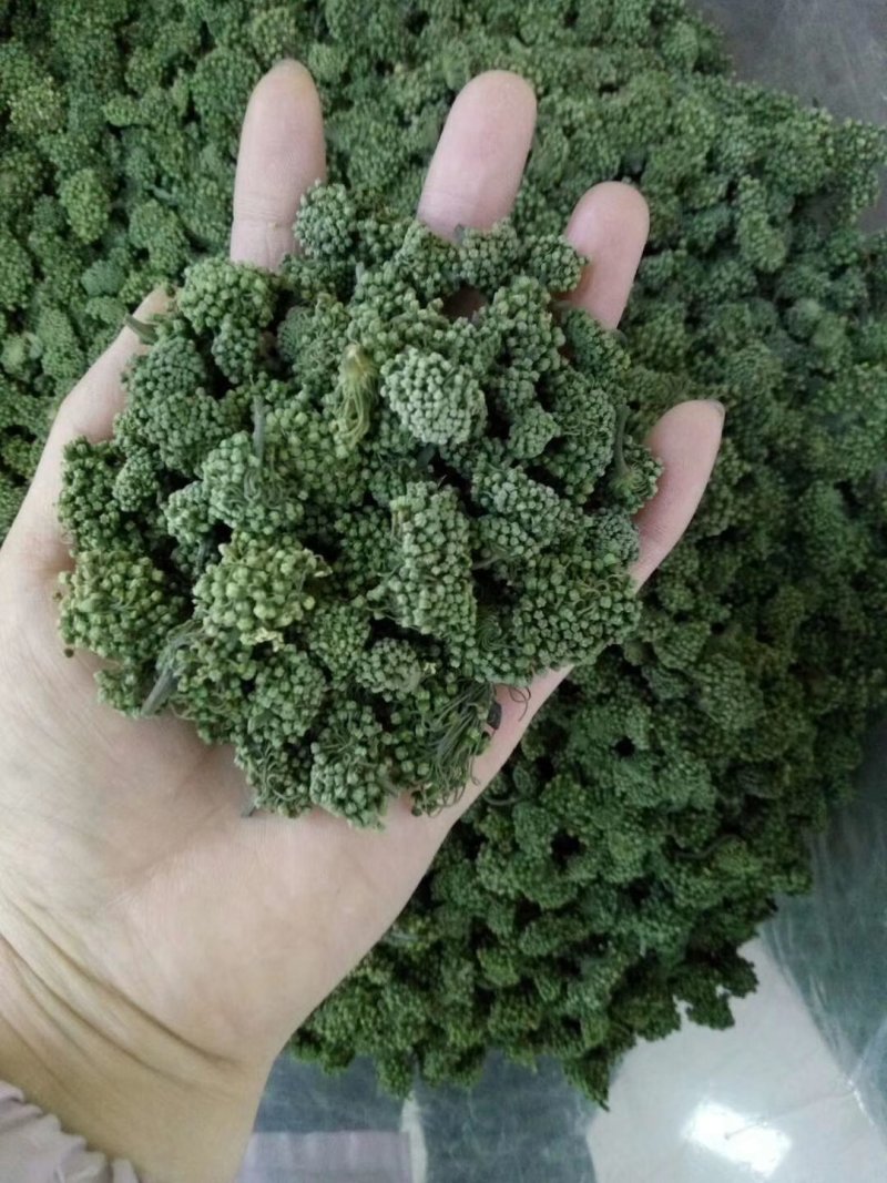 云南文山三七花，三年花，算是中等花，大小规格不一样。
