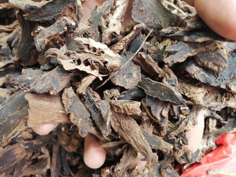 元参、玄参片，含有少量芦头，货漂亮足干，无虫蛀无霉变