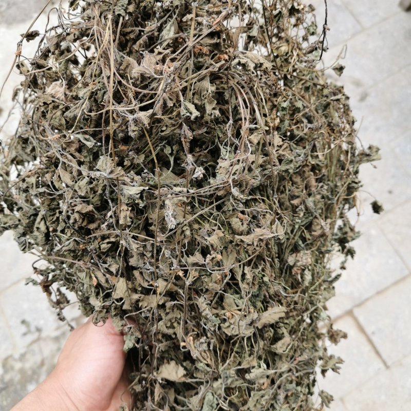 金钱草小叶干货野生