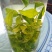 酸枣叶茶