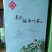 酸枣叶茶