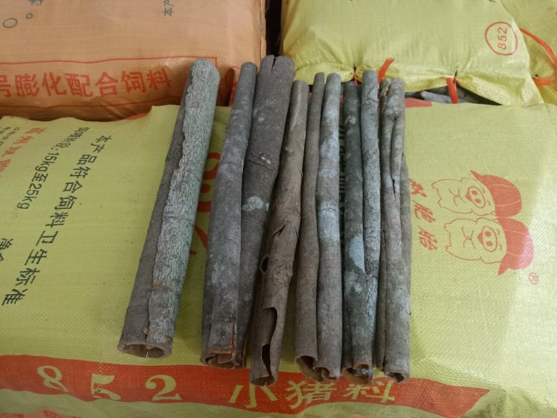 桂皮