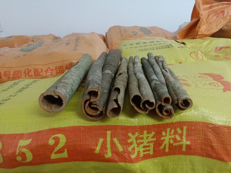 桂皮