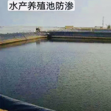 防渗膜