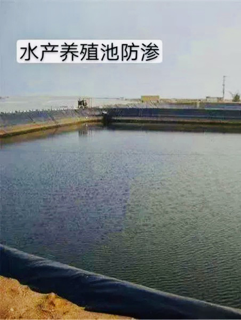 防渗膜