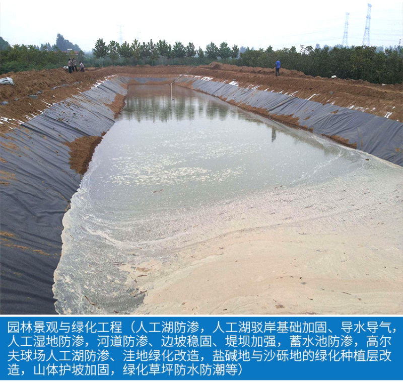 防渗膜