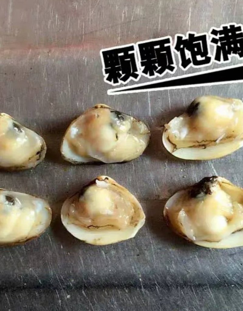 鲜活海瓜子白瓜子贝类海鲜小蛤蜊海沙子海鲜水产批发