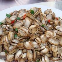 鲜活海瓜子白瓜子贝类海鲜小蛤蜊海沙子海鲜水产批发