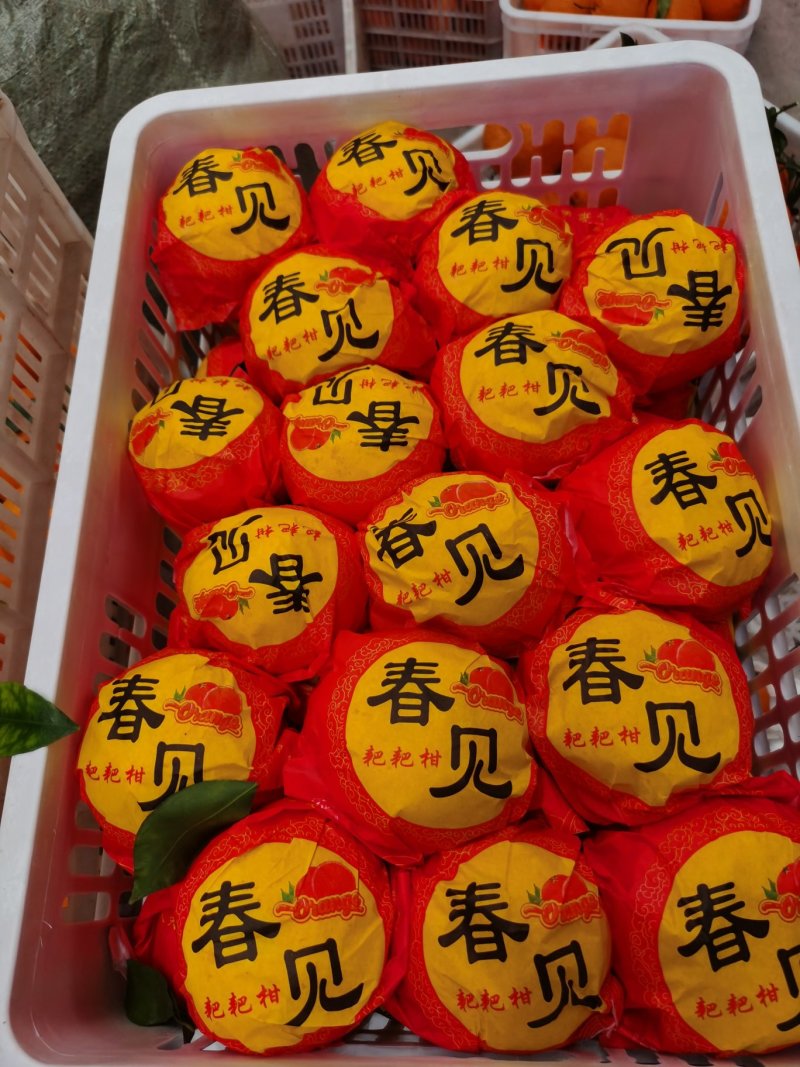 【精选】四川春见耙耙柑，纯甜化渣！电商社区市场大量有货