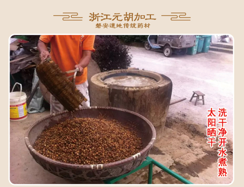 元胡延胡索出售浙江产元胡