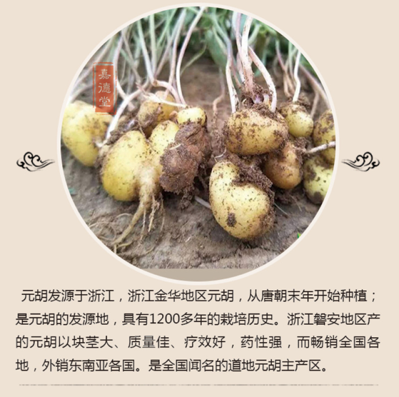 元胡延胡索出售浙江产元胡