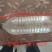 各种冰瓶冰块，冰袋，水袋，泡沫箱，纸箱