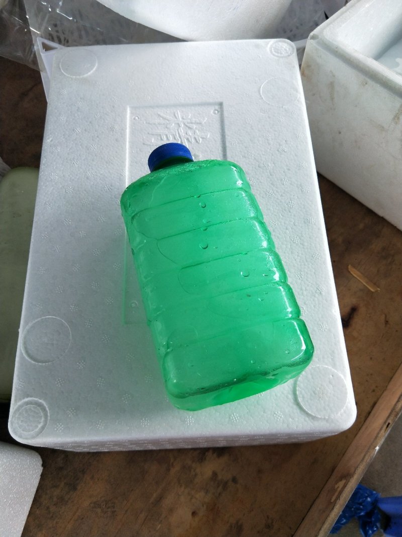 各种冰瓶冰块，冰袋，水袋，泡沫箱，纸箱