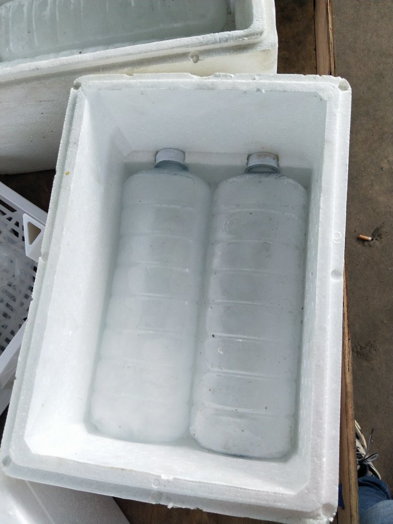 各种冰瓶冰块，冰袋，水袋，泡沫箱，纸箱