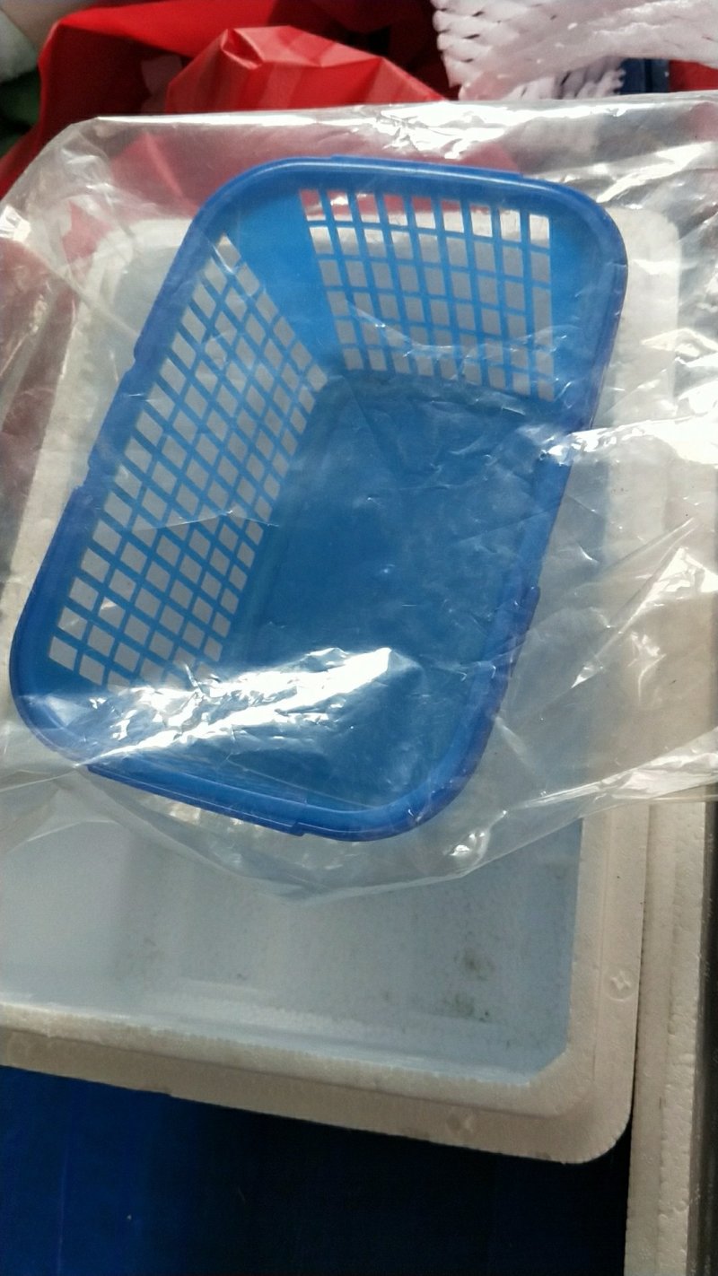 各种冰瓶冰块，冰袋，水袋，泡沫箱，纸箱