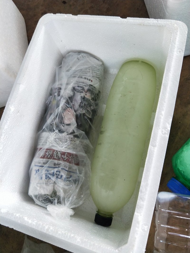 各种冰瓶冰块，冰袋，水袋，泡沫箱，纸箱