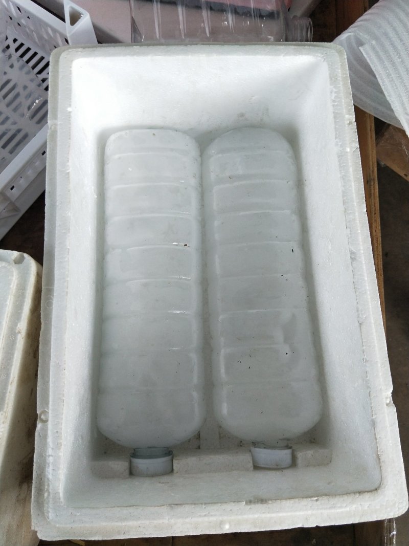 各种冰瓶冰块，冰袋，水袋，泡沫箱，纸箱