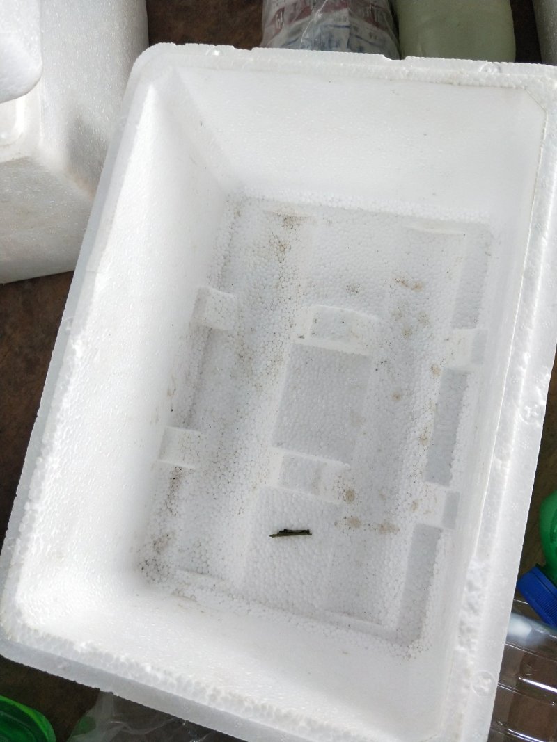 各种冰瓶冰块，冰袋，水袋，泡沫箱，纸箱