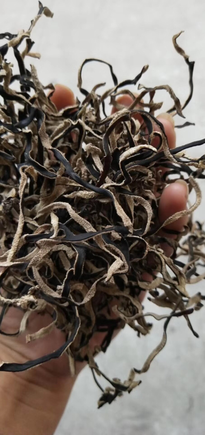 精品木耳丝产地批发直销