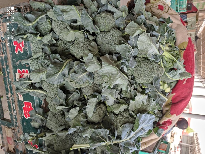 【精品】西兰花可视频看货对接全国产地直发大量上市价格美丽