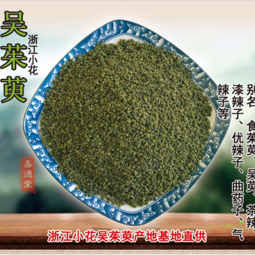 吴茱萸浙江小花吴茱萸浙江产地直供