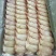 新鲜冷冻鸡全翅12斤一件代发