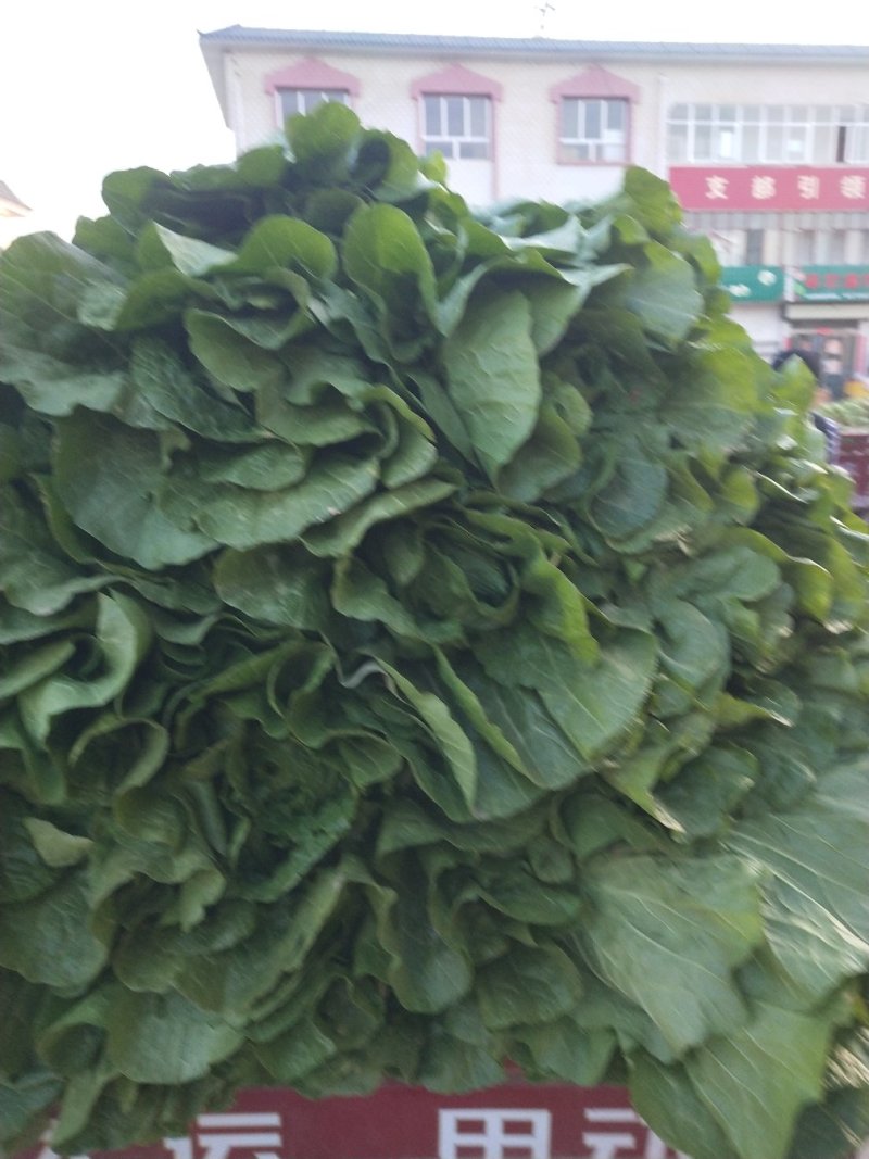 有需要联系