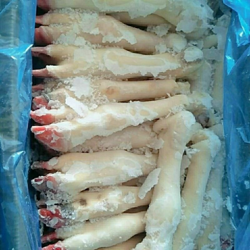新鲜冷冻羊蹄20斤一件厂家货源