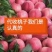 春雪桃，6月份大量上市产地直销个头大颜色好口感好量大有需
