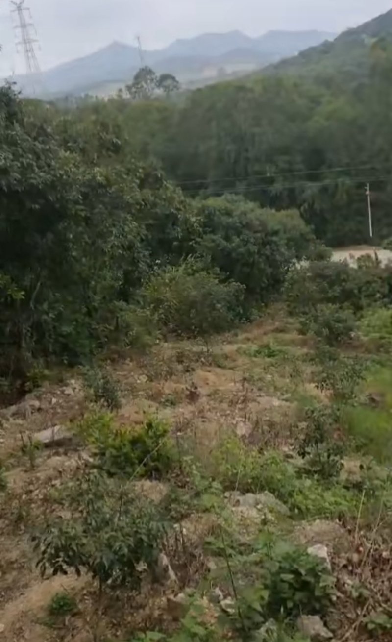 山地出租