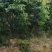 山地出租