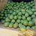 西瓜，早春红玉，包熟，包甜，包送，农户自产，大量供应，