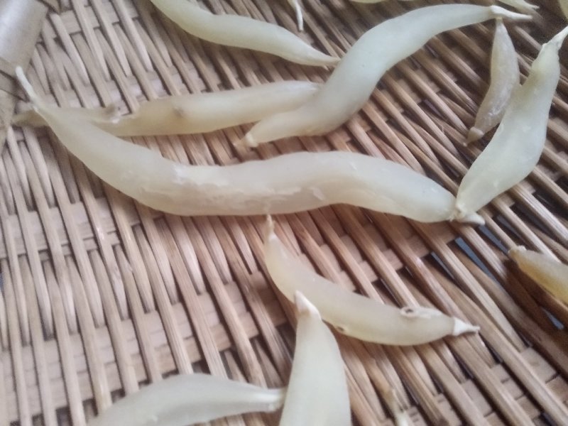 野生天冬。。。。。。。