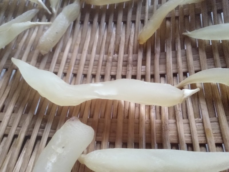 野生天冬。。。。。。。