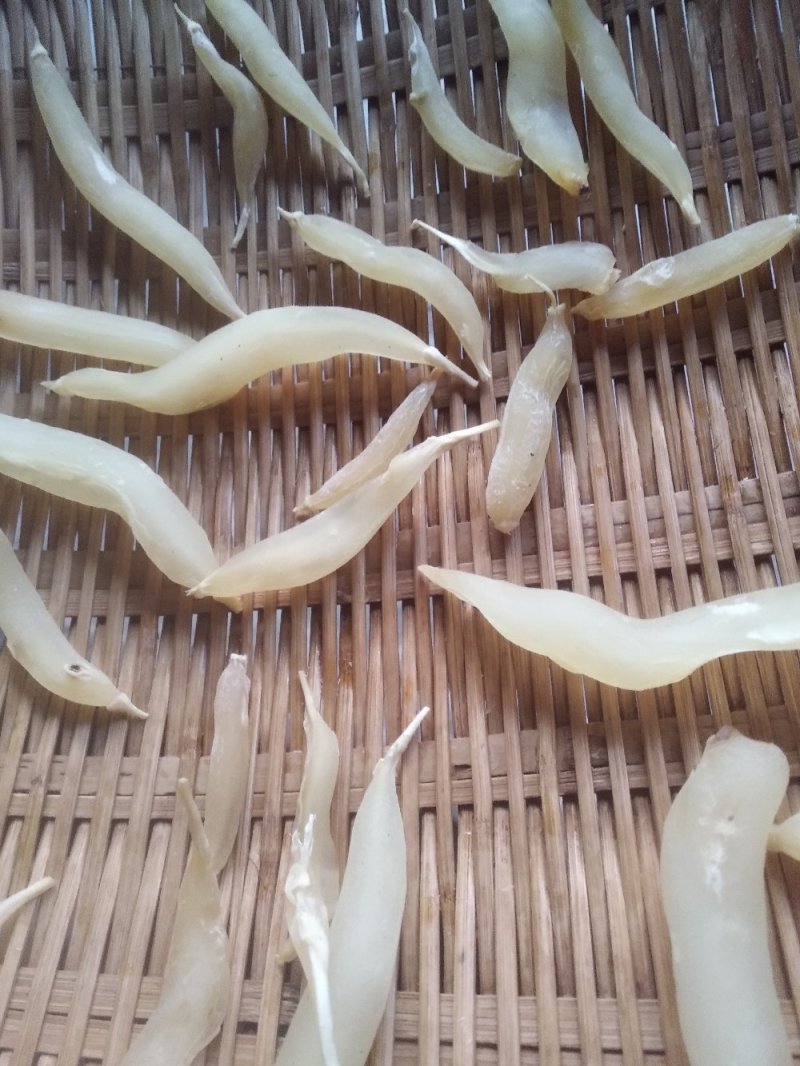 野生天冬。。。。。。。