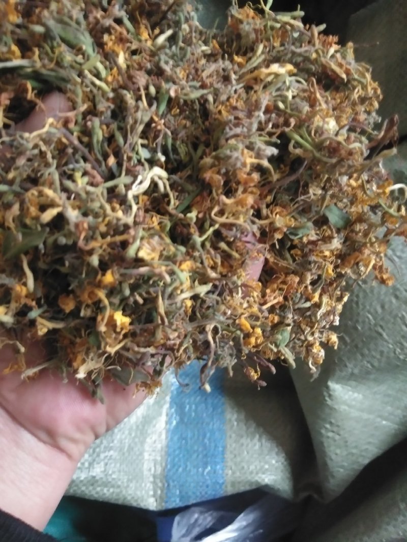 高含量纯野生无硫金银花