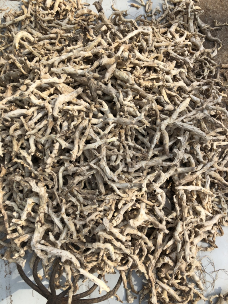 承德野生穿山龙切片精选，高含量，片白。