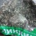 中药材正品新货野生忍冬藤干金银藤粉金银花藤