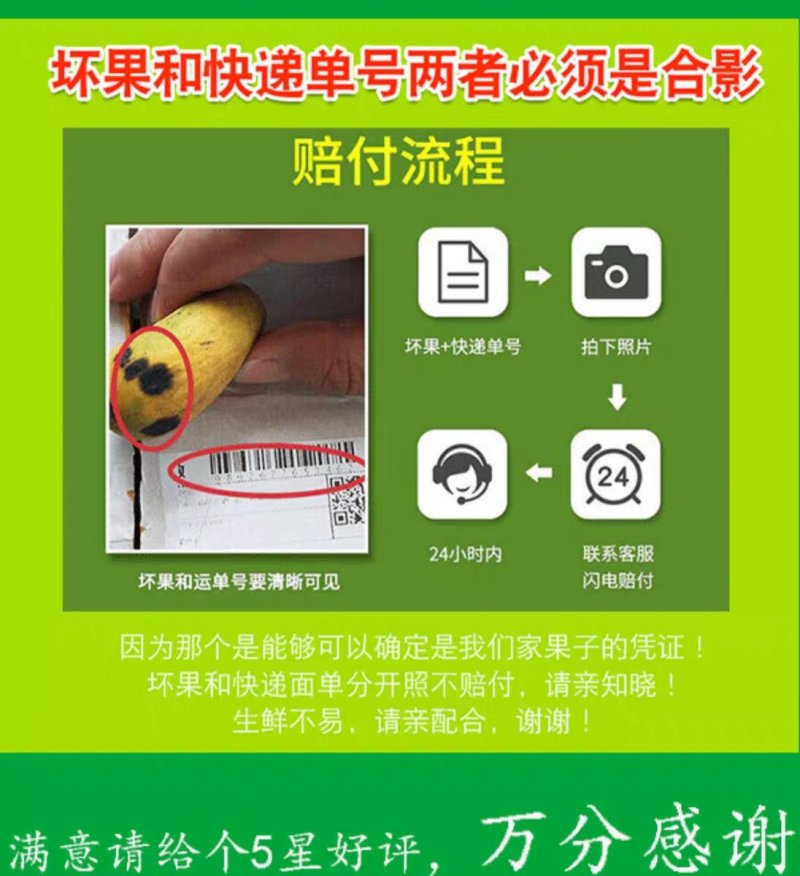 广东汕头金灶新早春杨梅水果供产地批发一件代发顺丰包邮