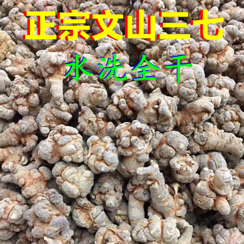 三七田七水洗全干多规格云南文山产地直供另可配礼盒