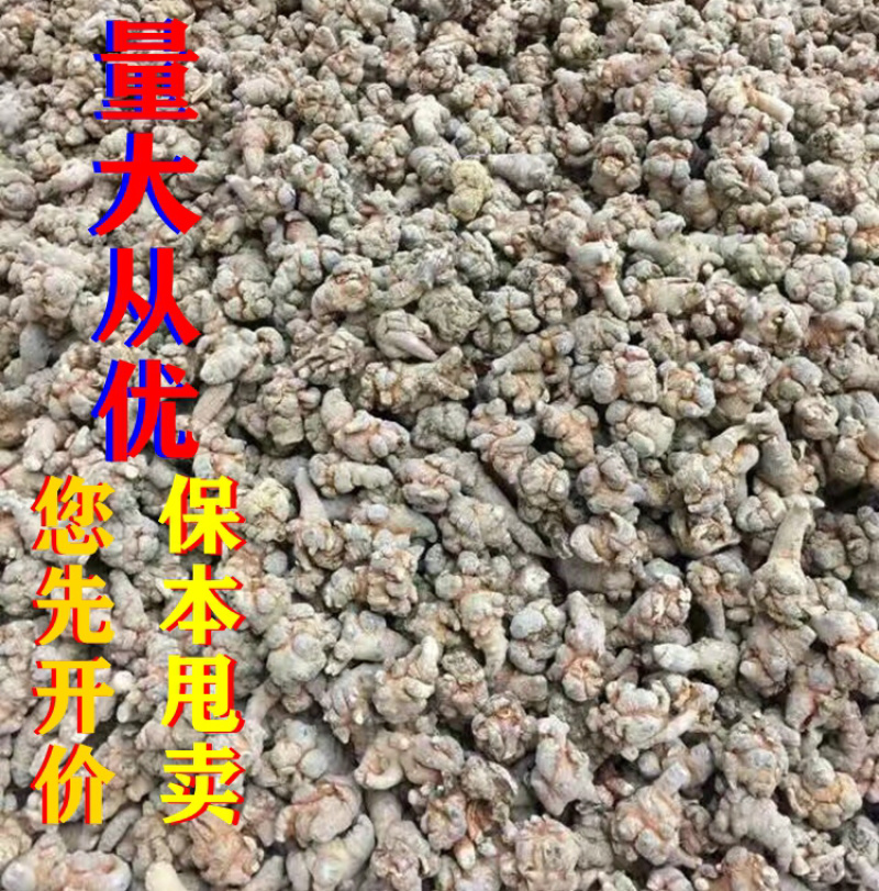 三七田七水洗全干多规格云南文山产地直供另可配礼盒